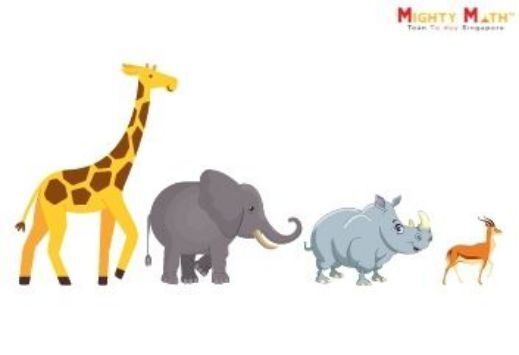 bài toán so sánh chiều cao 4 con vật