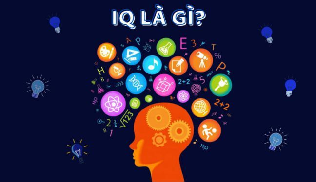 Chỉ số IQ là gì?